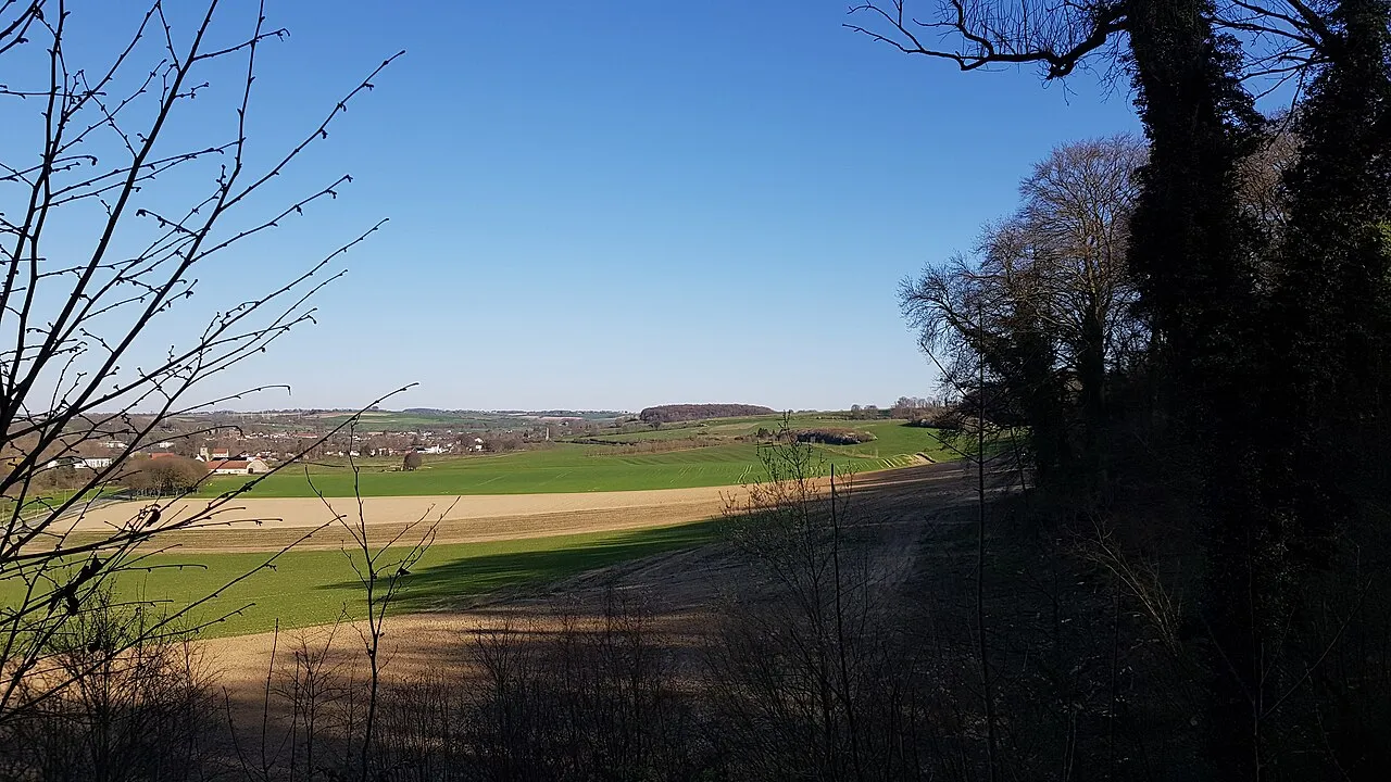 Gewandgroeve 1