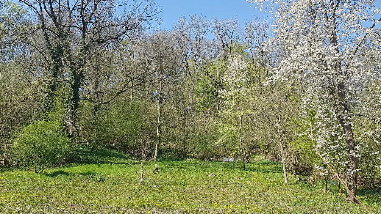 Kornelsbergske 1