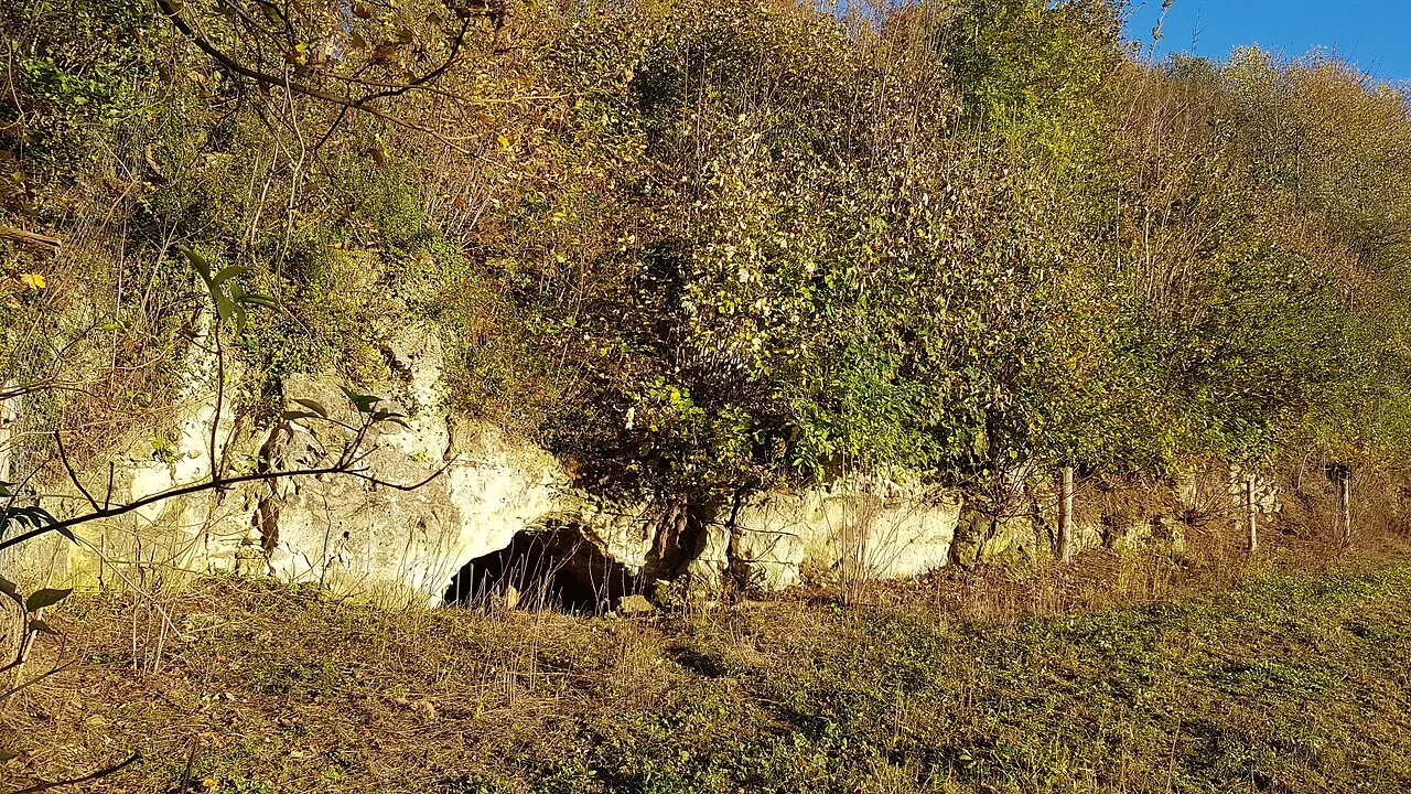 Heiberg-groeve