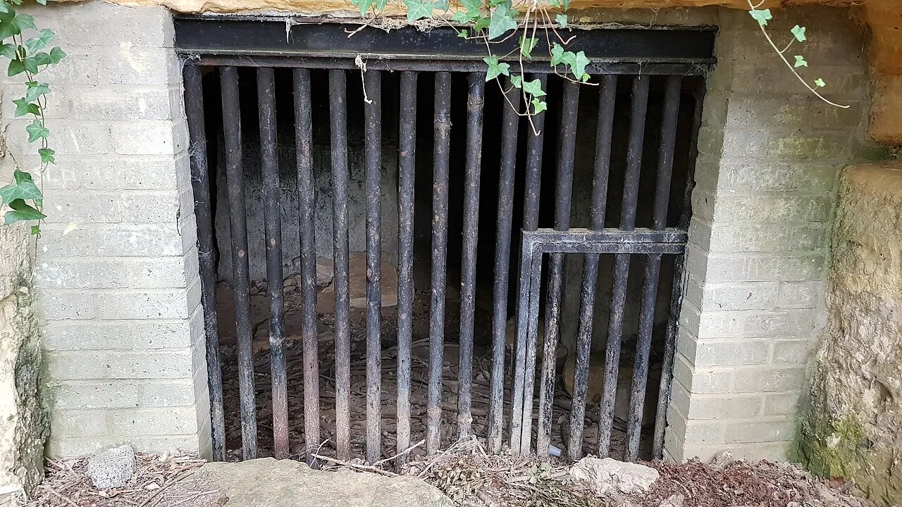 Steinberg-1 (Holeberggr.)
