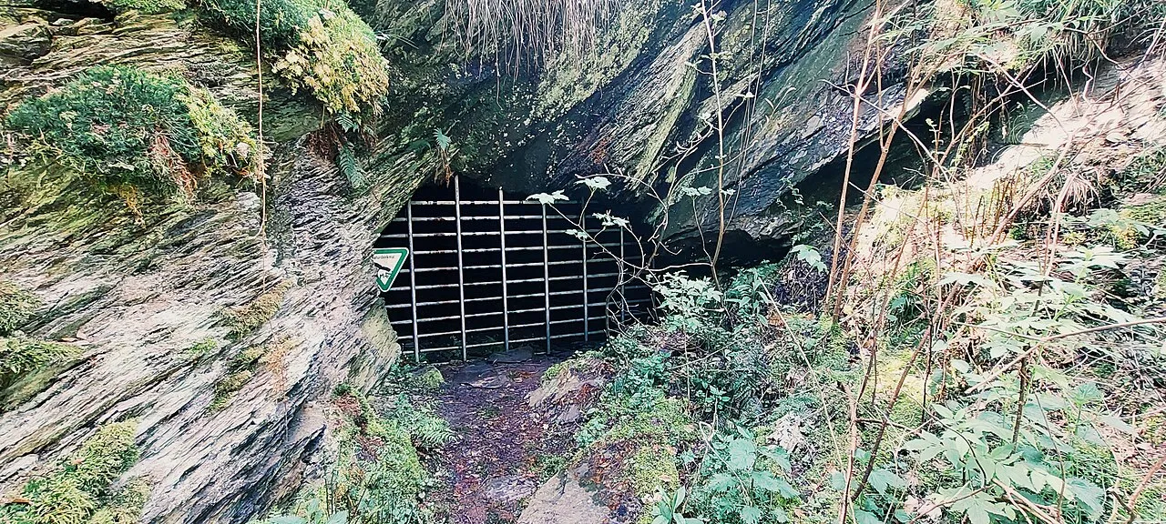 Fledermaushöhle