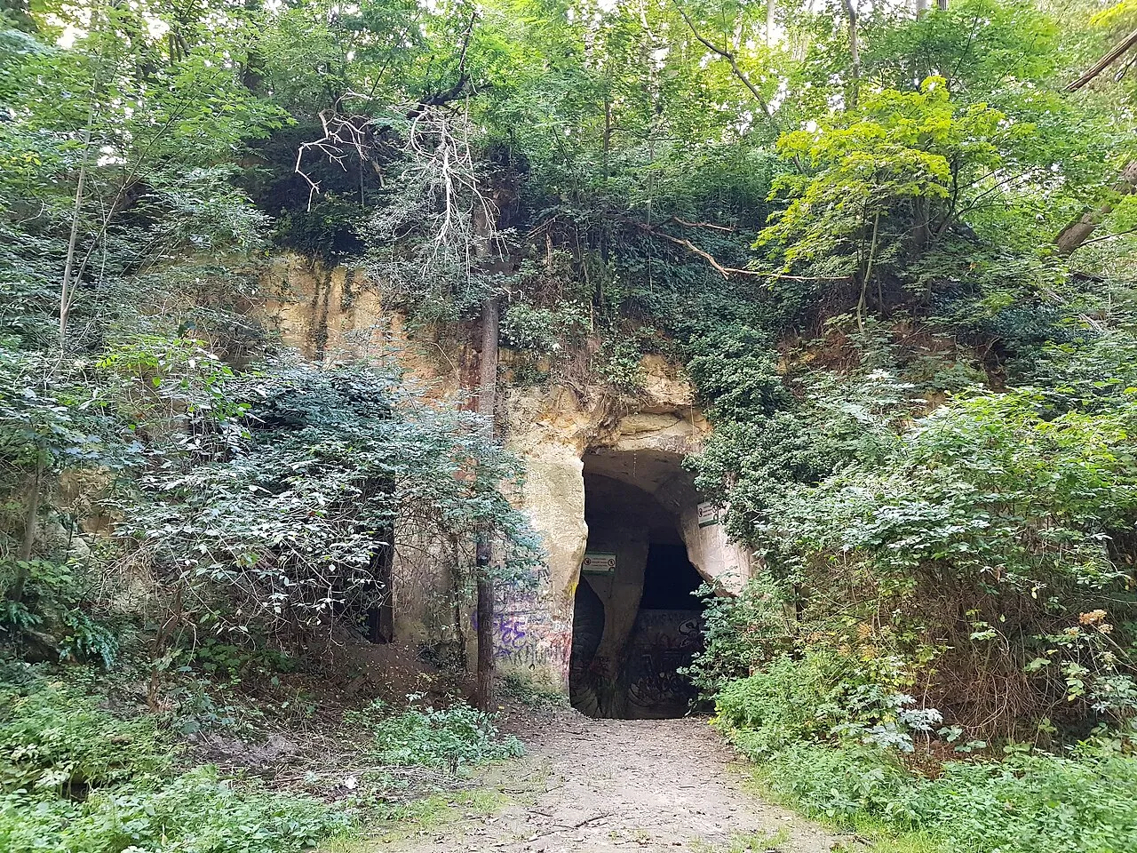 Carrière Lanaye inférieure