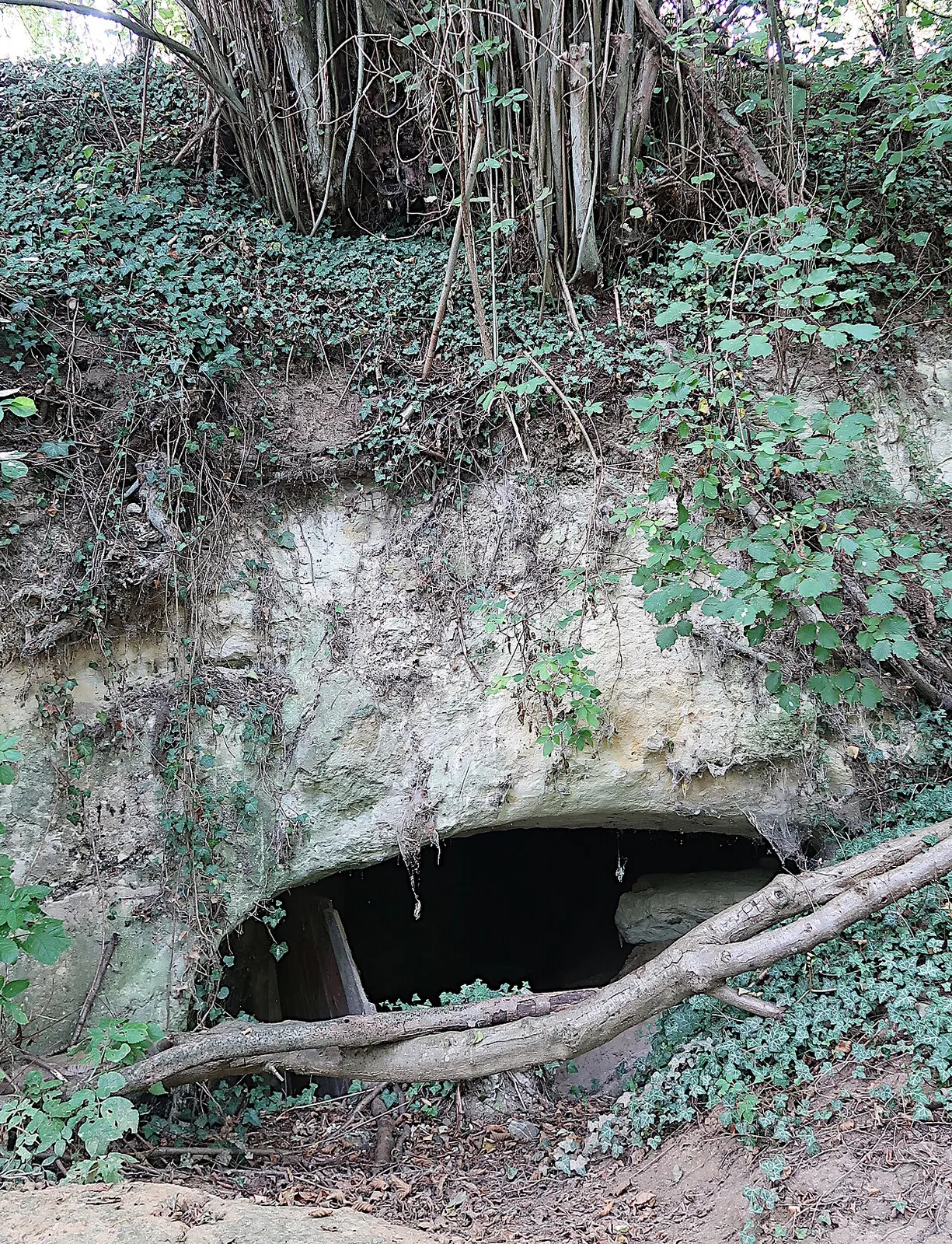 Ancienne carrière souterraine