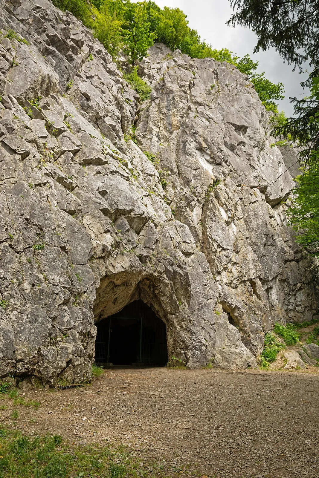 Grottes de la terrasse principale de Goyet