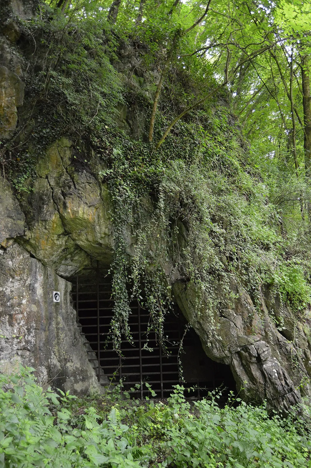 Grottes de Fonds de Forêt