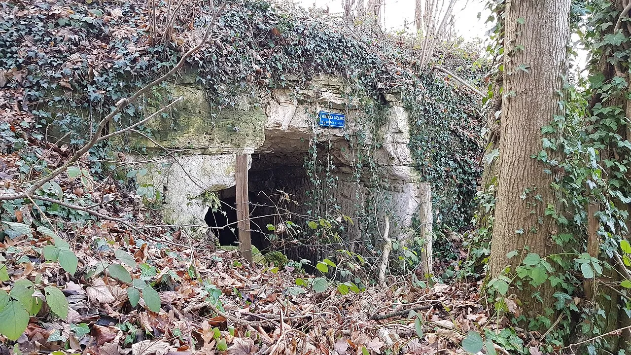 Sint-Jansboschgroeve III