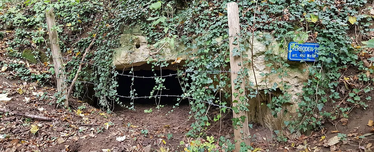 Sint-Jansboschgroeve IV