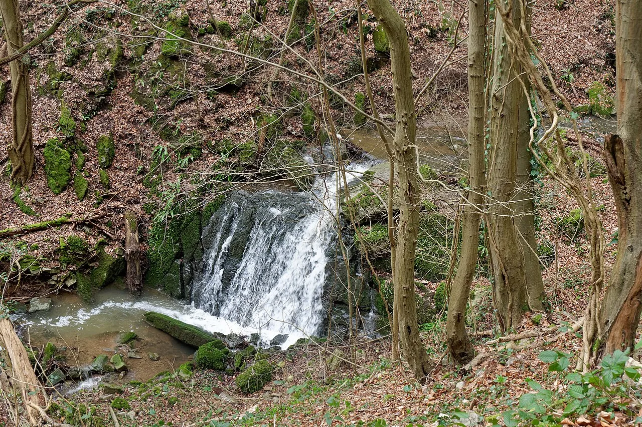 Grotte du Baron