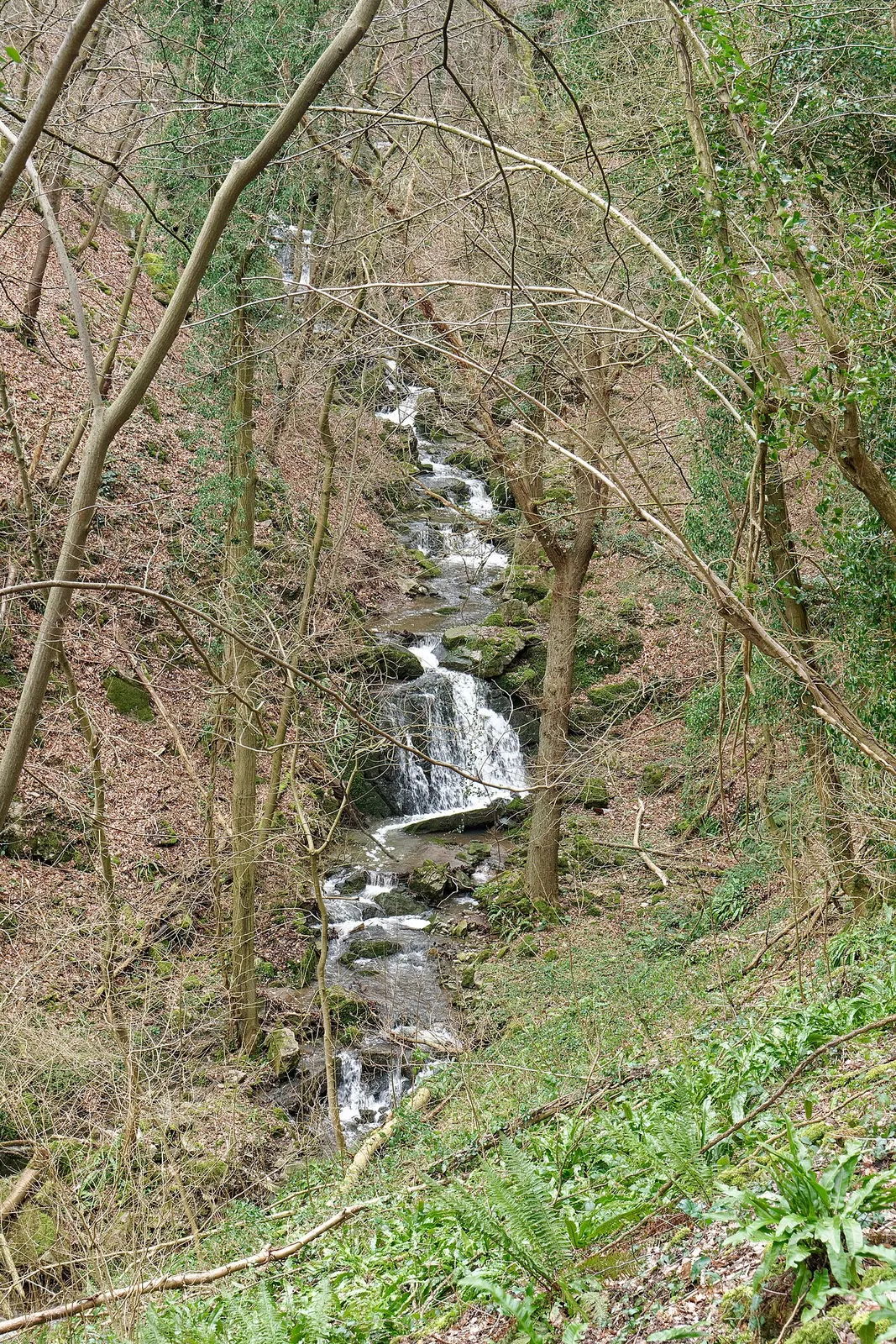 Trou des Nutons