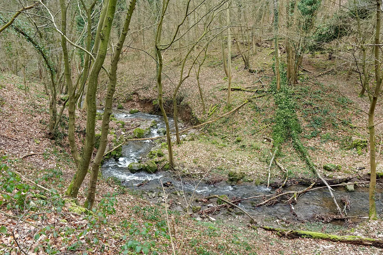 Trou du Procès