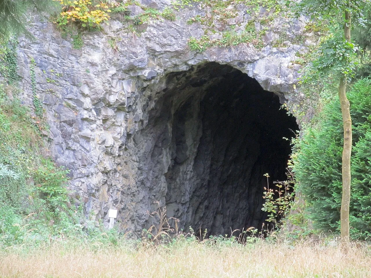 Grotte des Nutons