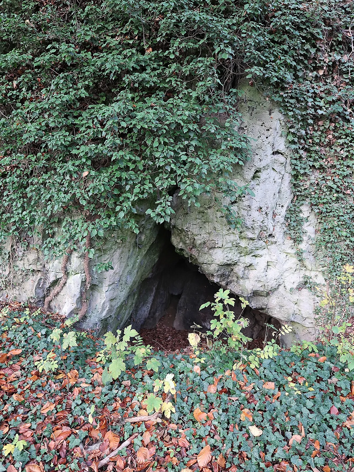 Trou-abri de la Maison isolée