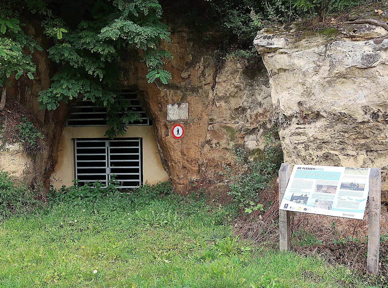 Flessenberg