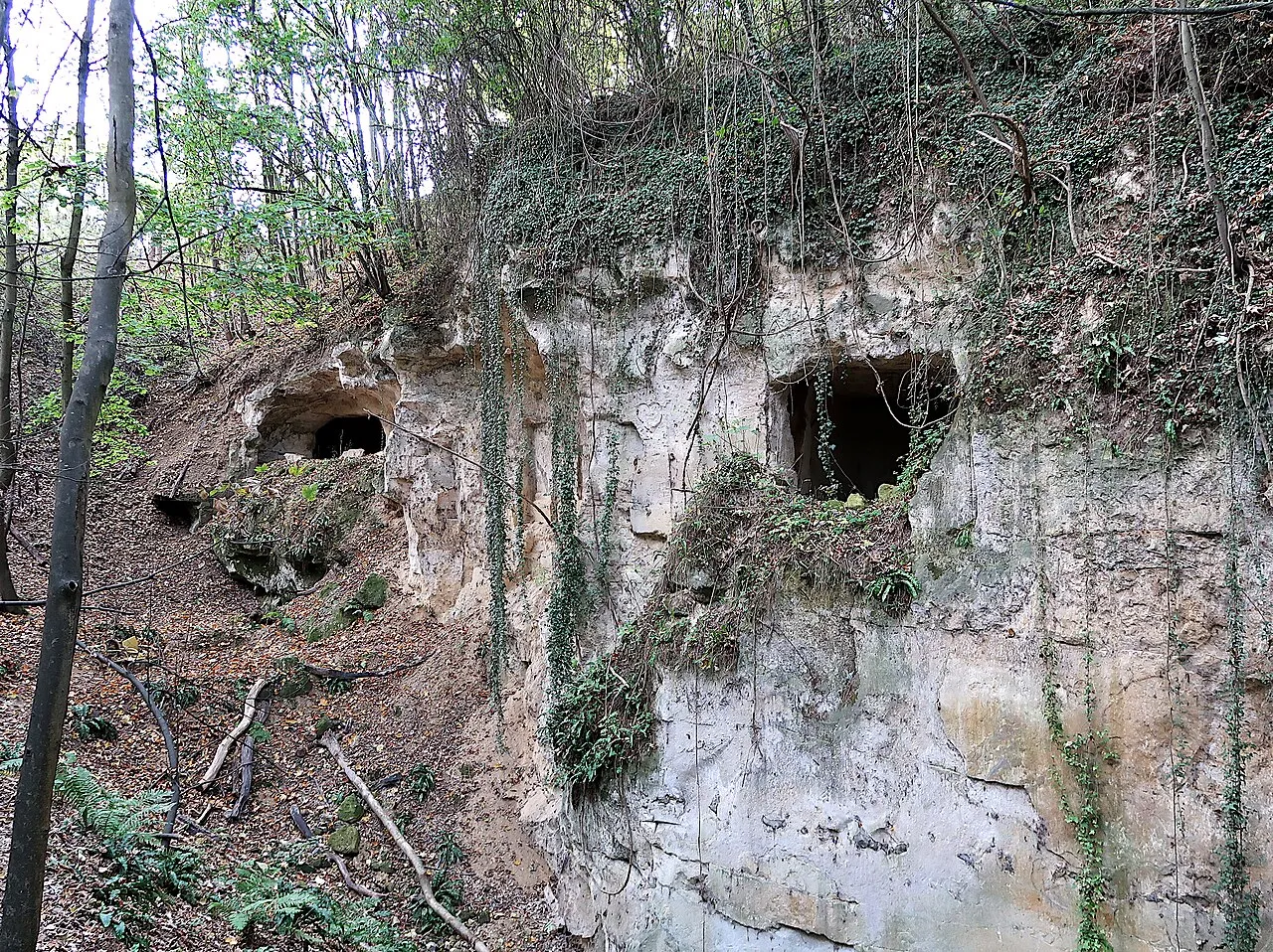 Carrière souterraine de Romont