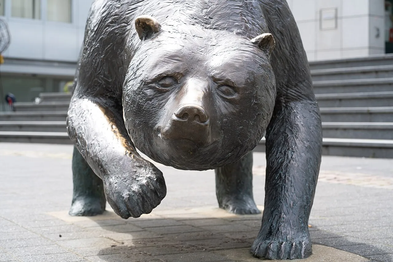 Bulle und Bär
