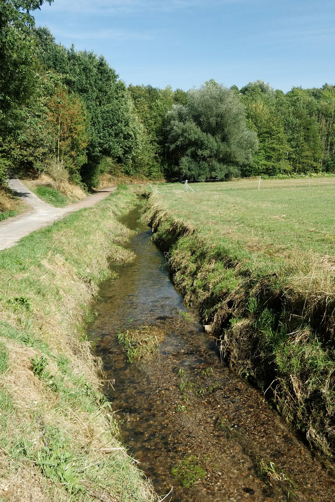 Steckenpferde