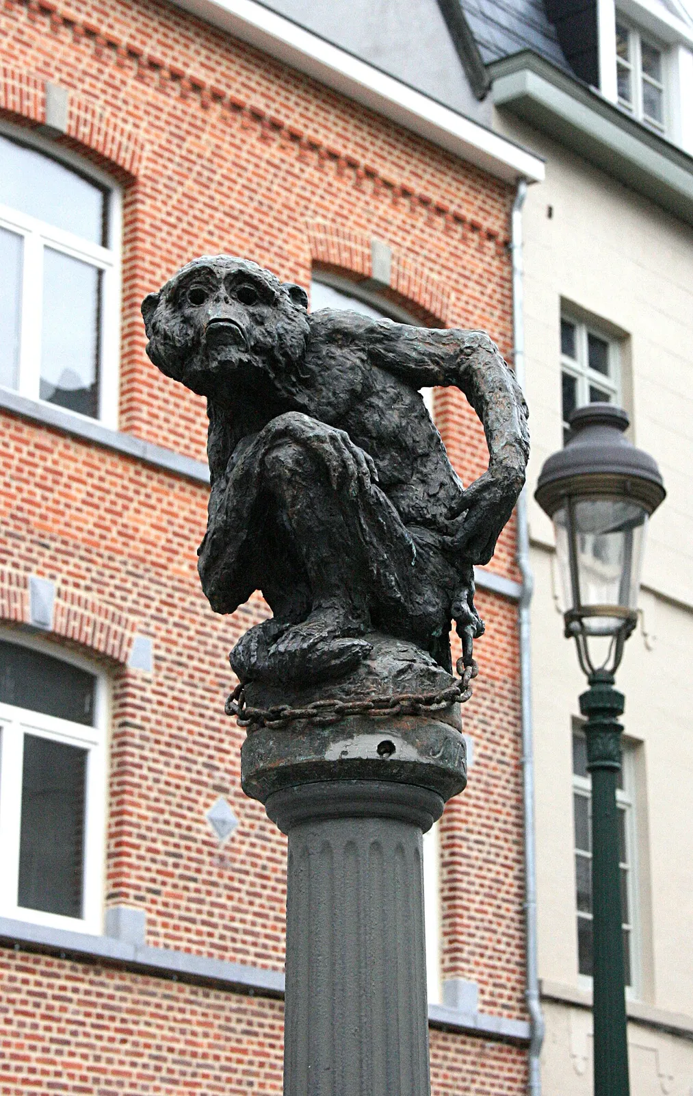 Le Singe