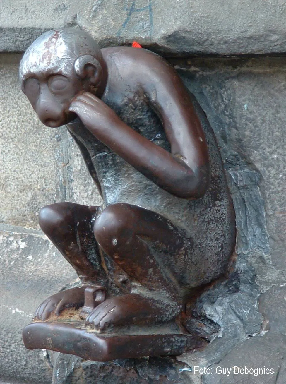 Singe du Grand'Garde