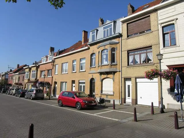 De witloofboeren