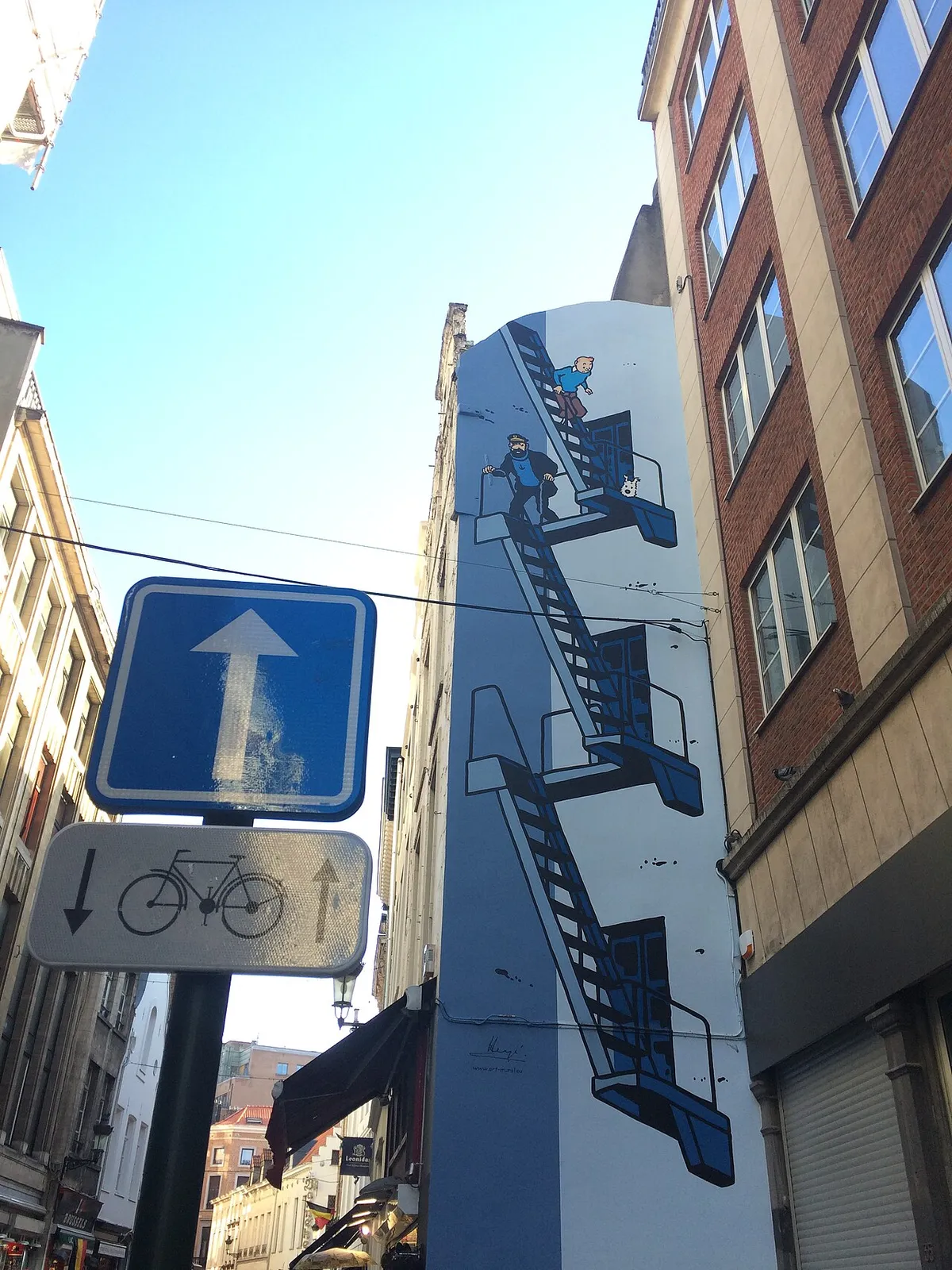 Tintin