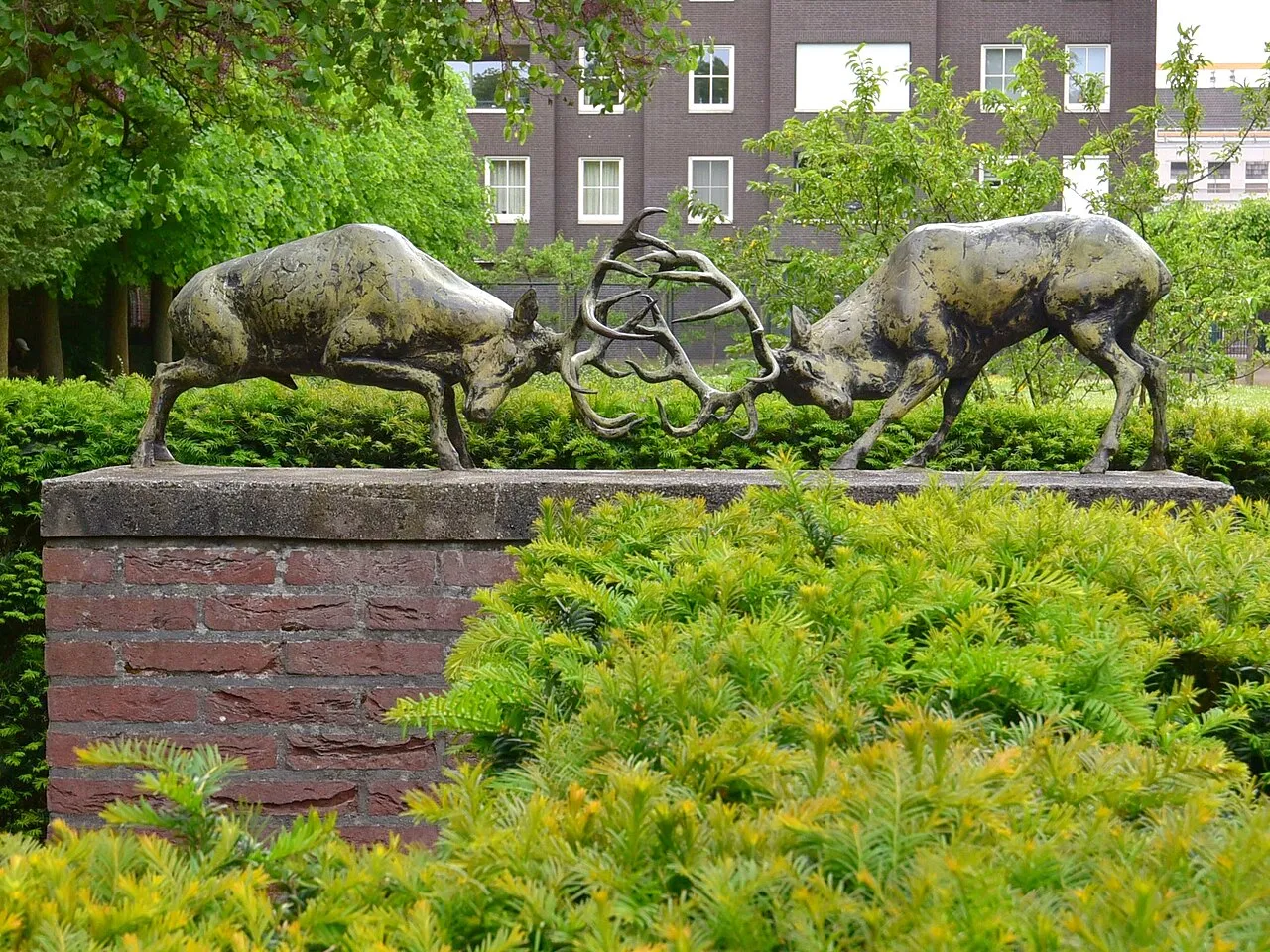 Twee herten