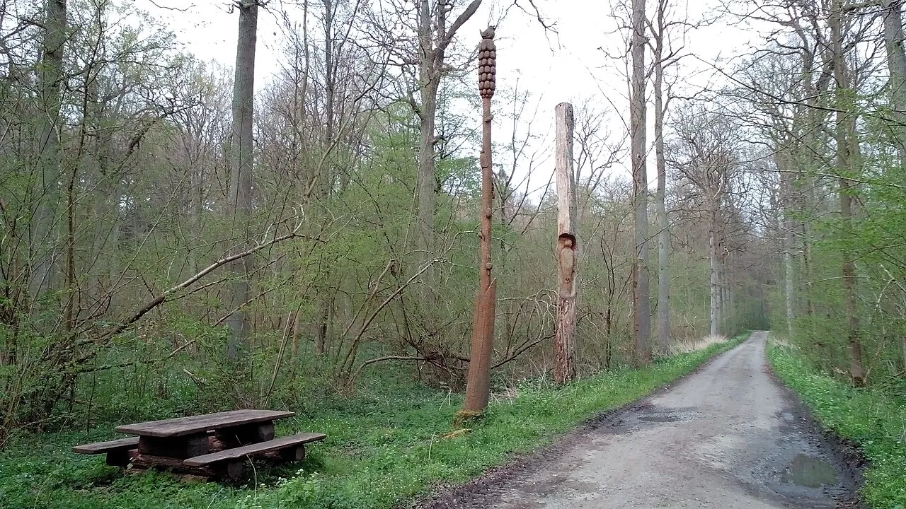 Specht