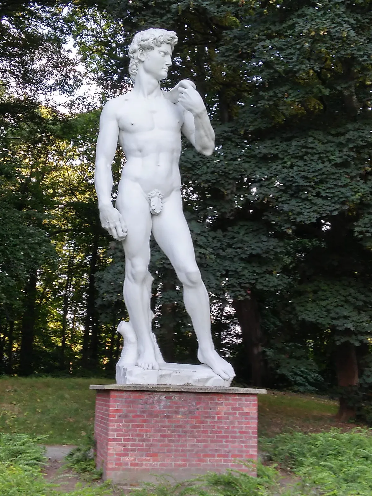 David