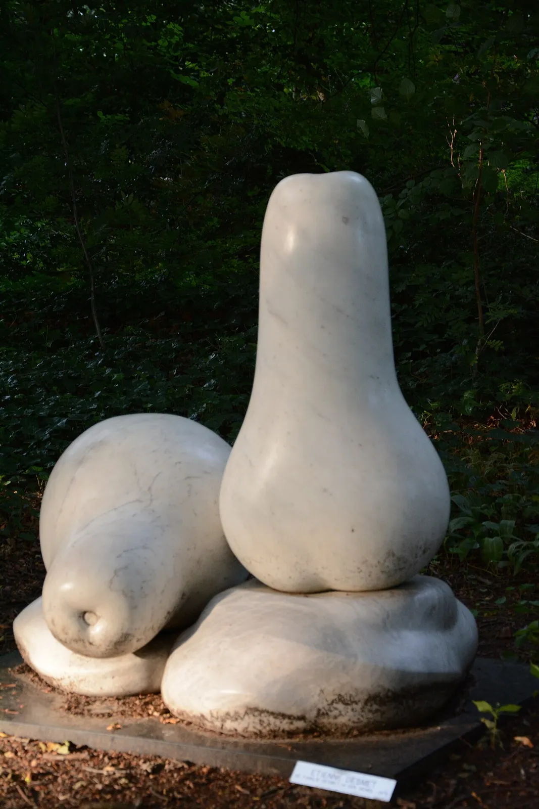 De familie Desmet in de hemel