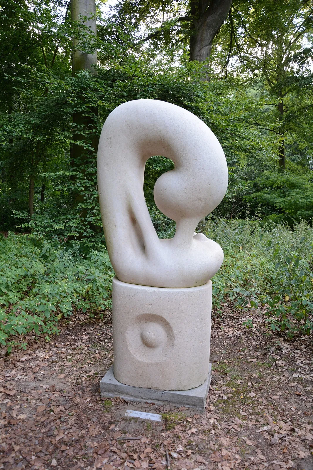 "L"