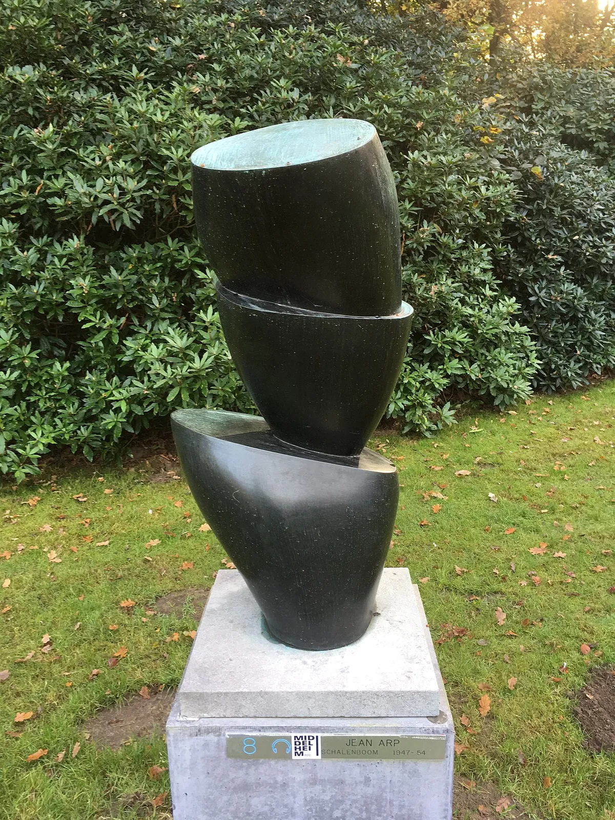 Schalenboom