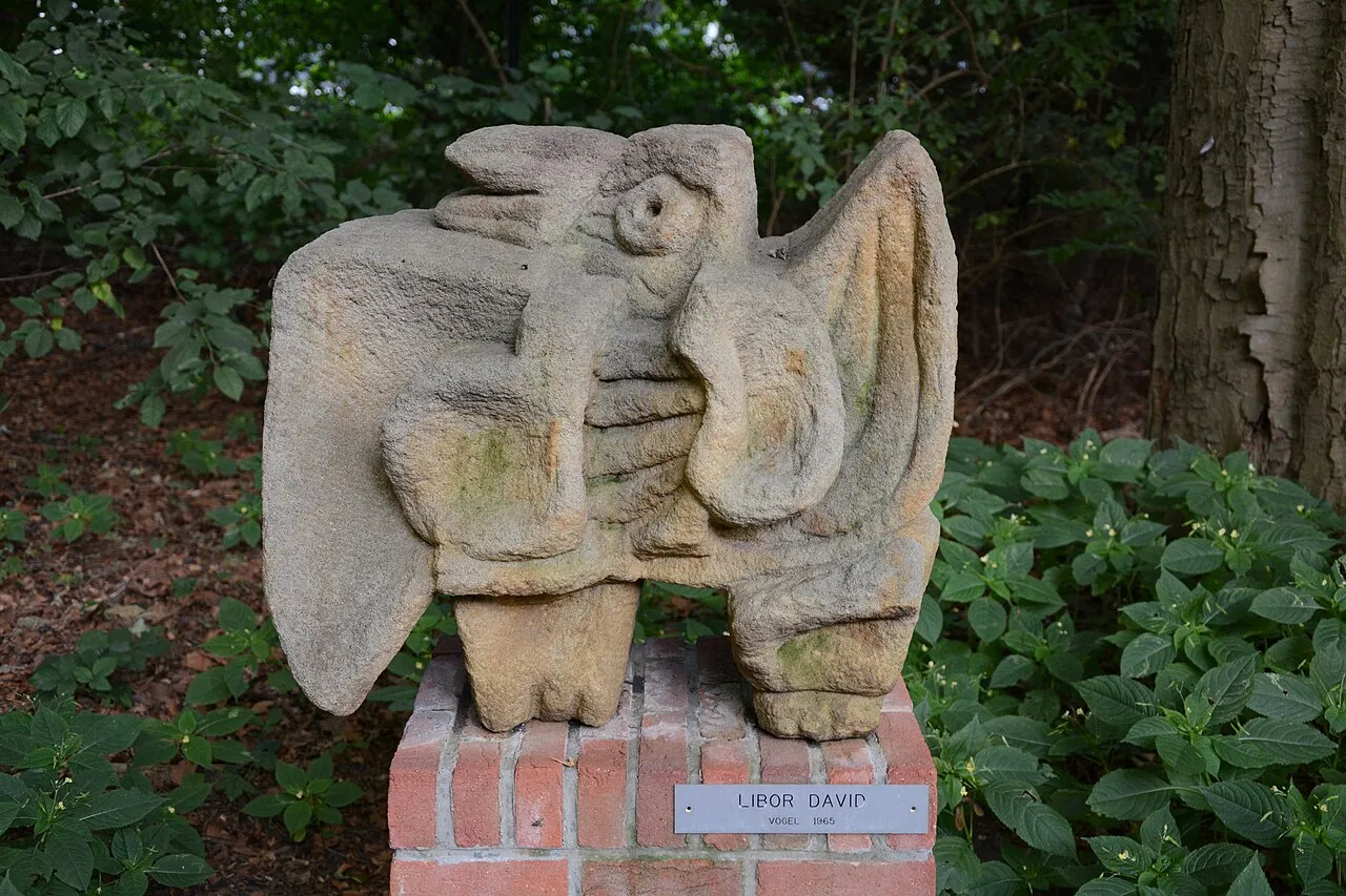 Vogel
