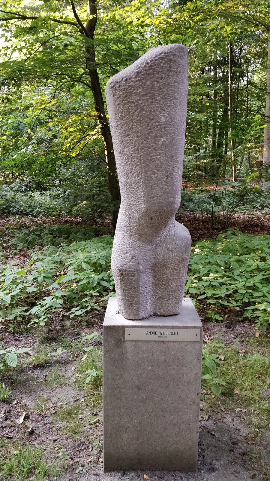 Torso