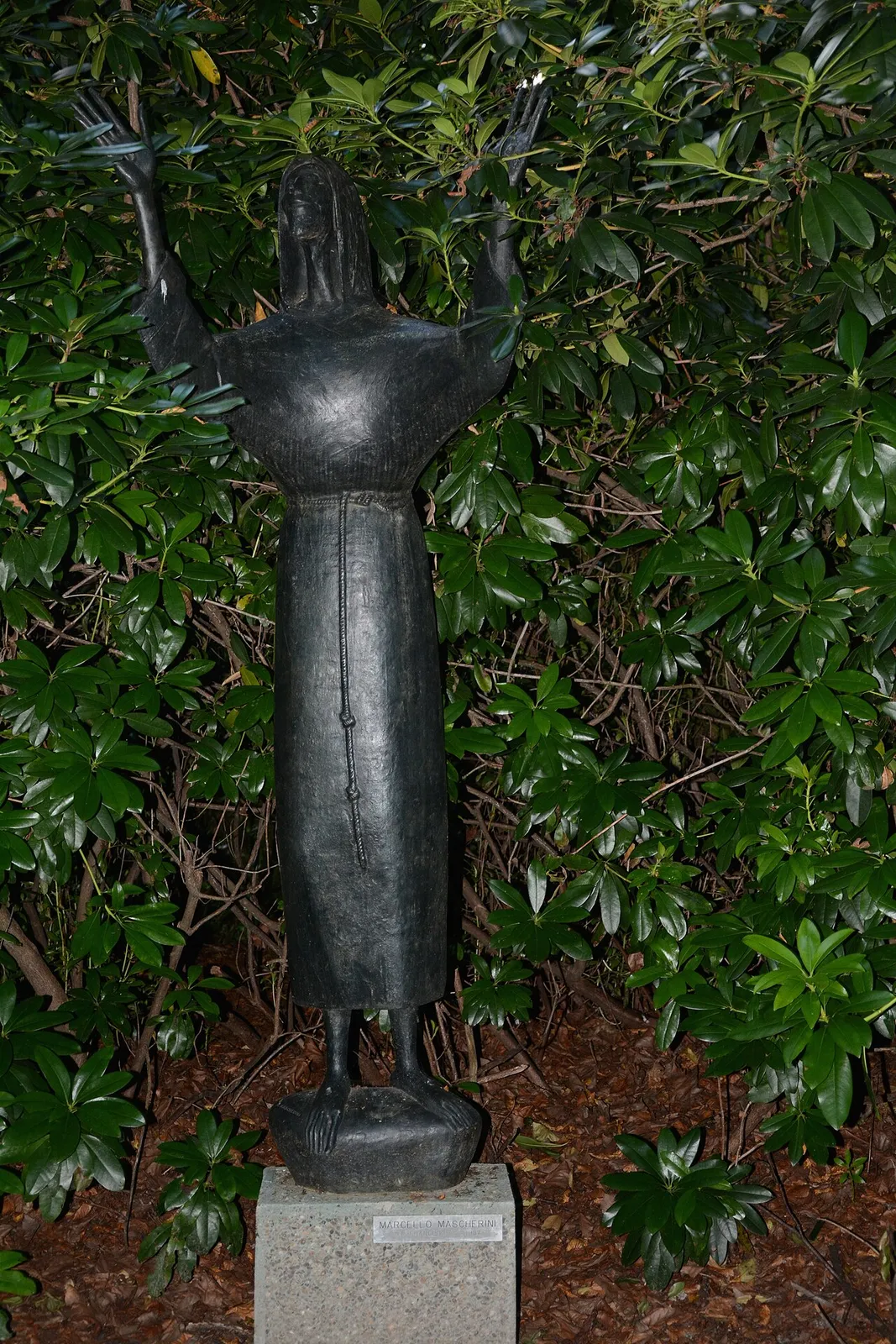 Sint-Franciskus