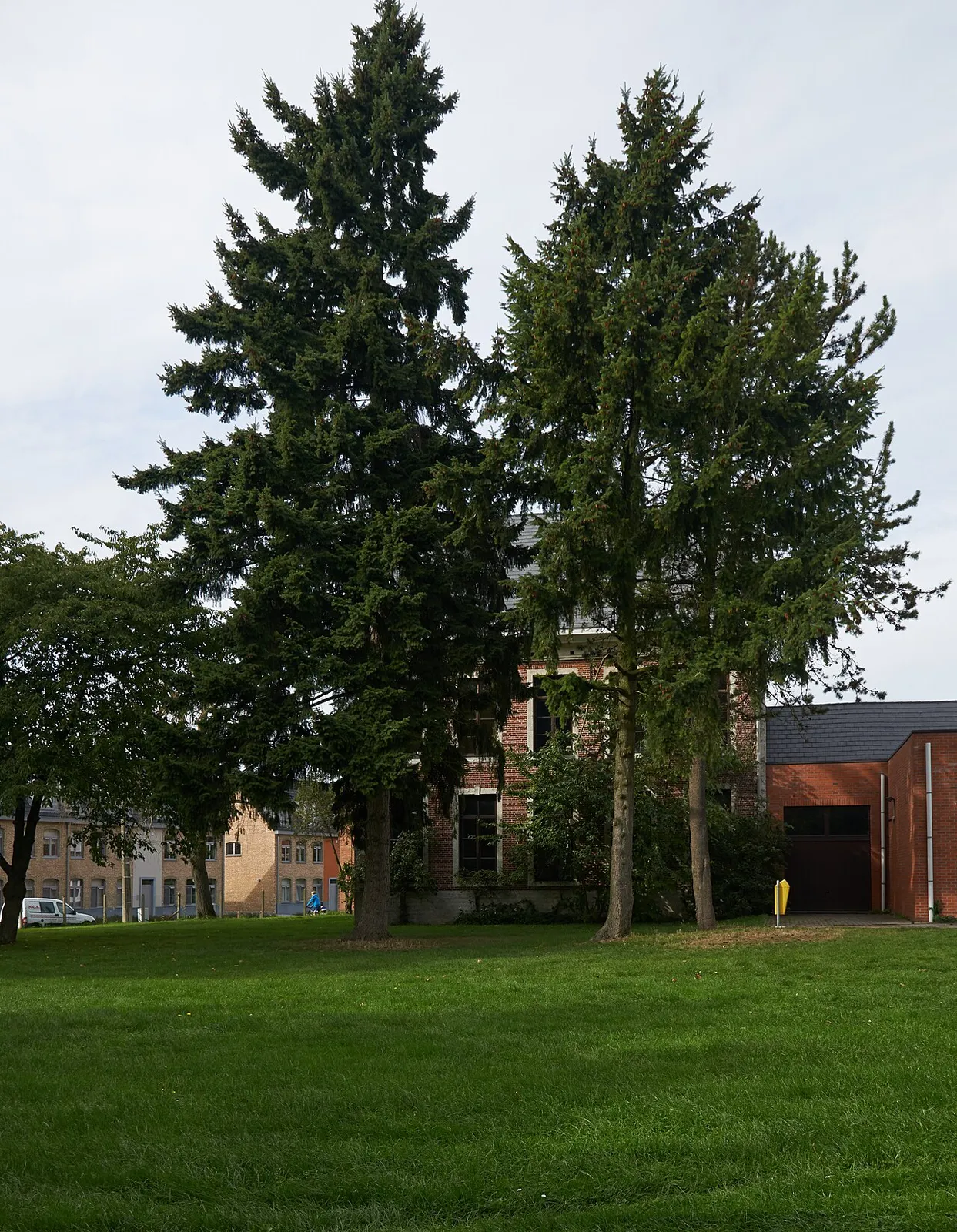 Dorp in de kijker