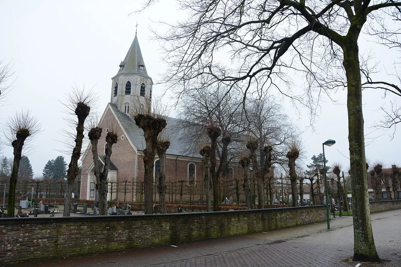 Man met de toeter