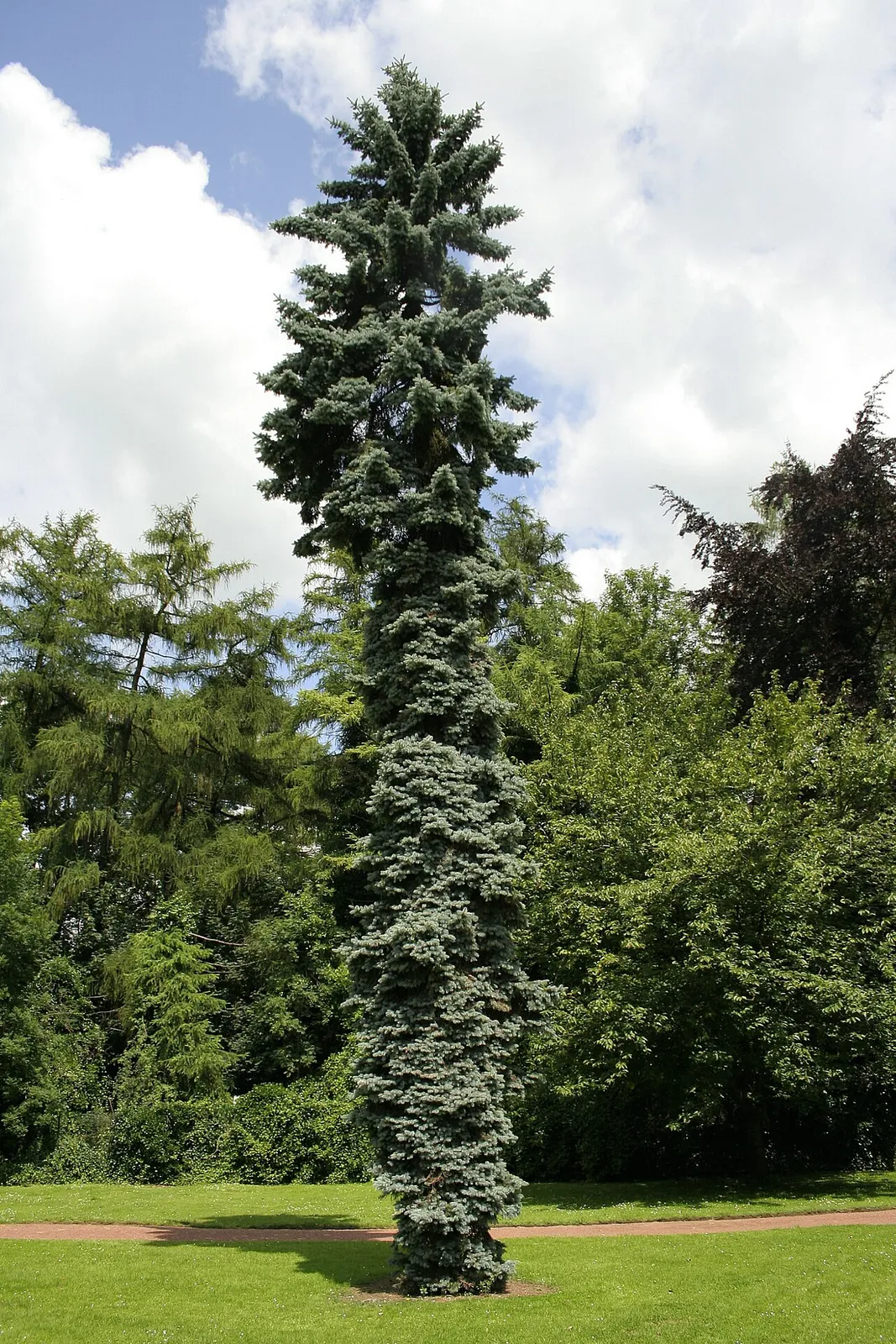 L'Abondance