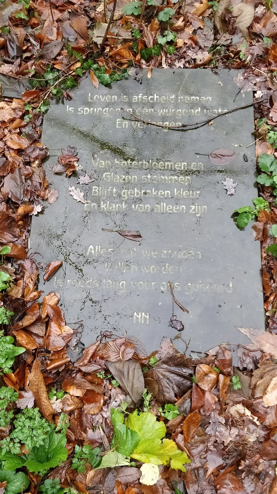 Gedicht in steen